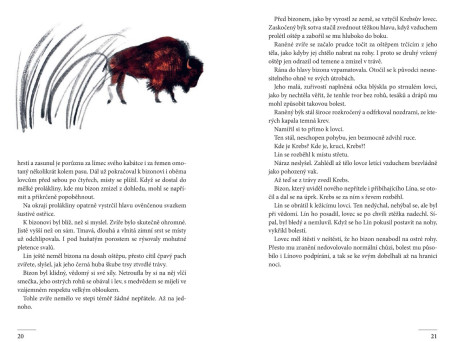 Ukázka z knihy ZEMĚ MAMUTŮ V ZAJETÍ OHNĚ A LEDU